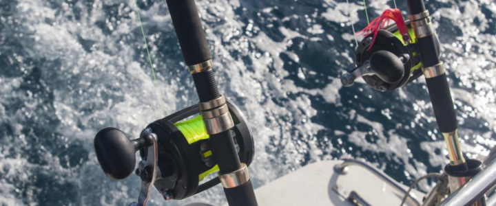 What Is A Sport Fishing License And Do I Need One to Fish At Cabo San Lucas?