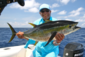 Yellowfin Tuna