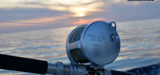 Types of Fishing Reels Most Used by Anglers