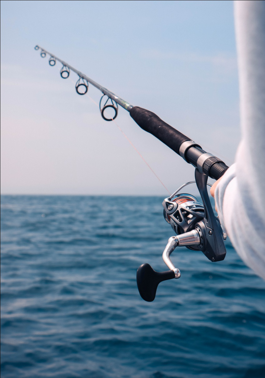 Fishing In Cabo San Lucas