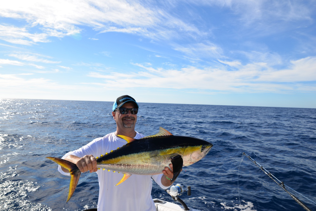 Yellowfin Tuna