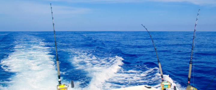 Off I Go Casting: Marlin Fishing in Cabo San Lucas