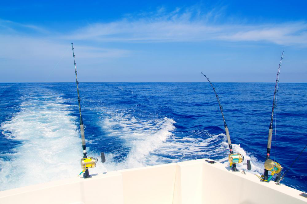 Marlin Fishing in Cabo San Lucas