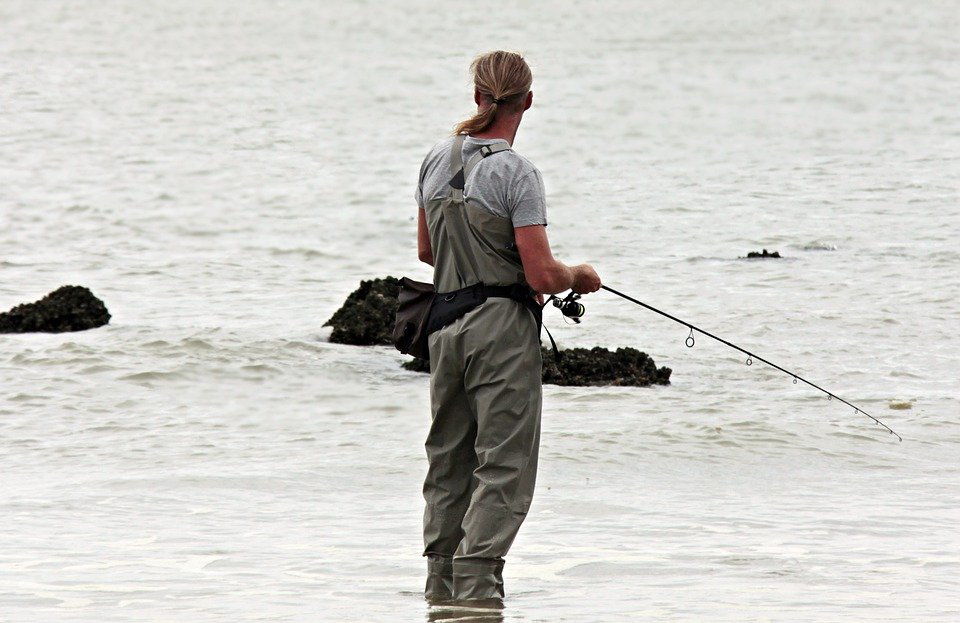 Best Time To Take A Fishing Trip To Cabo San Lucas