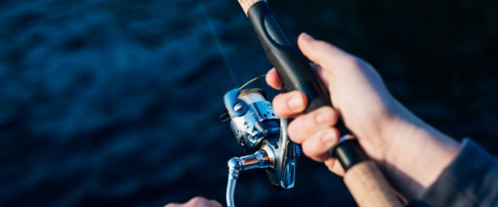 Get in Gear: How to Organize Your Fishing Gear