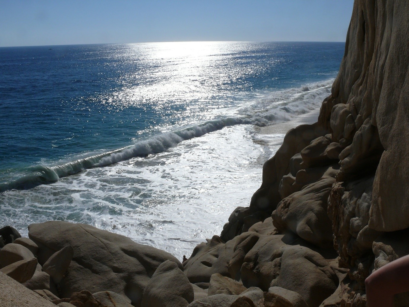 Fishing Trip in Cabo San Lucas to Relieve Lockdown Anxiety