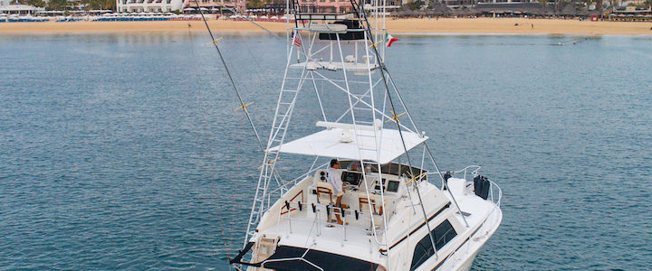 50ft Bertram in Cabo San Lucas