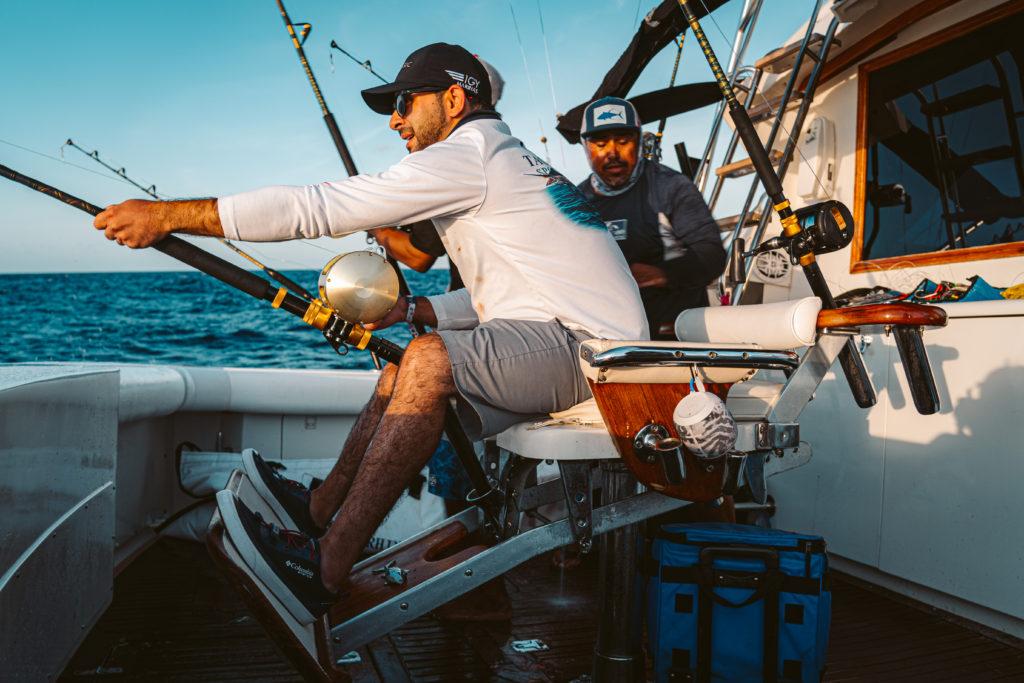 Yellowfin tunas in Cabo San Lucas