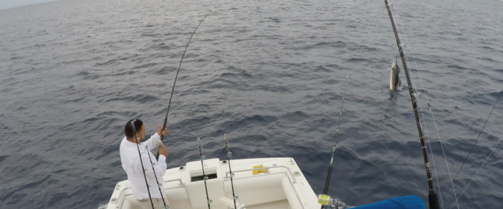 What is Fishing in Magdalena Bay, Mexico Like?