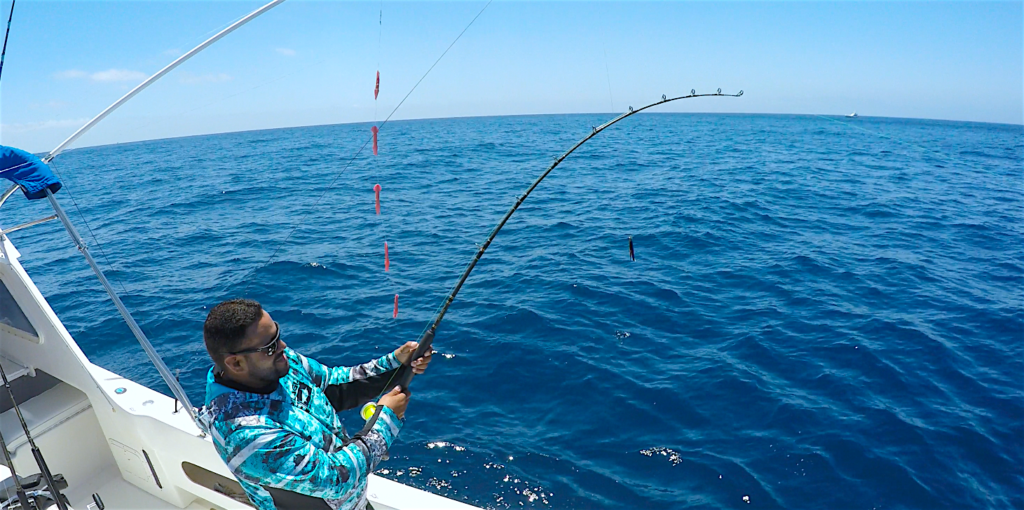 Mag Bay fishing charters.