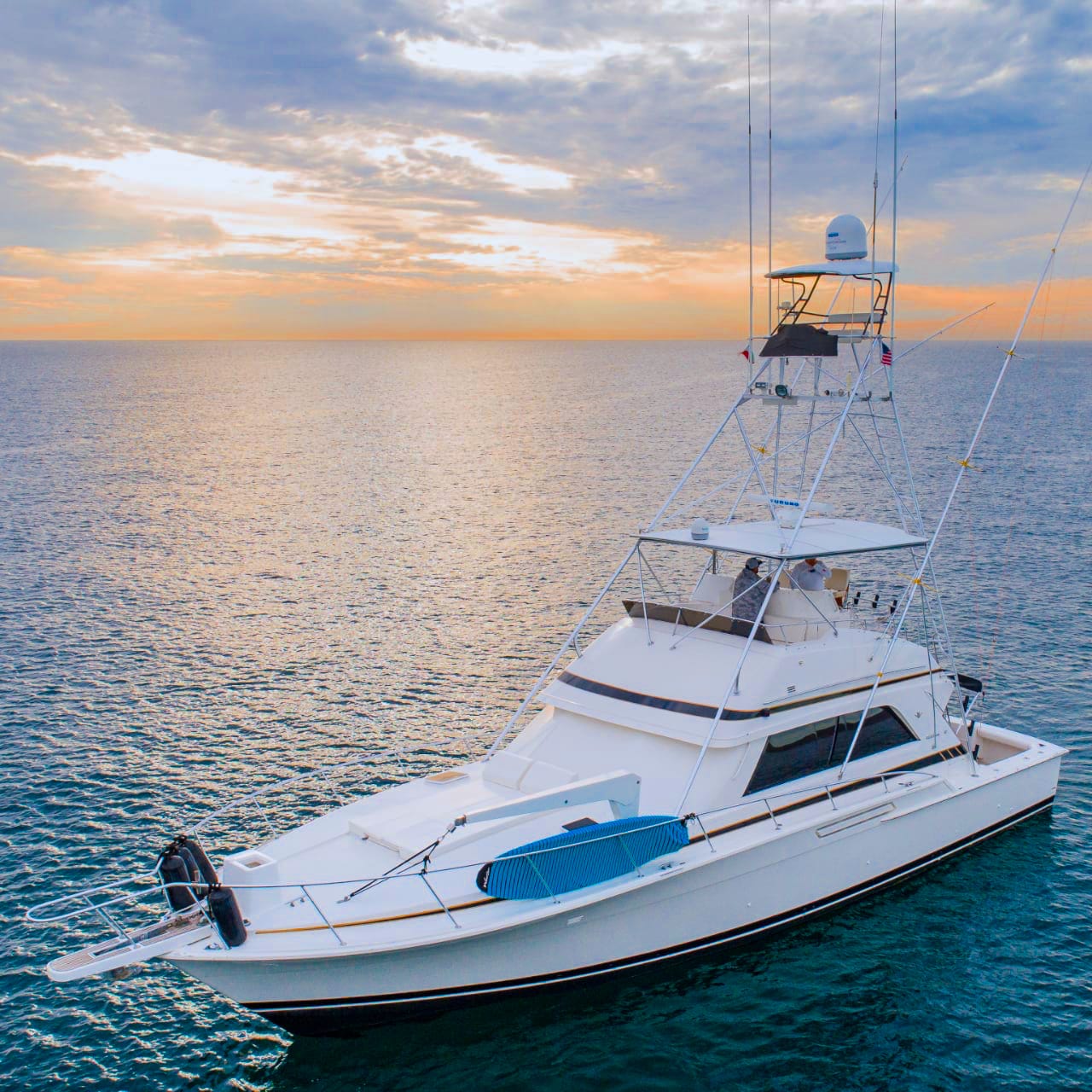 50ft Bertram in Cabo San Lucas