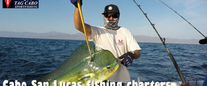 What is A Fishing Charter & How to Choose the Best One?