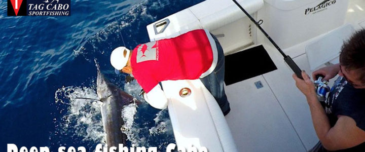 Fishing Charter in Cabo San Lucas can Make a Huge Difference to Your Experience