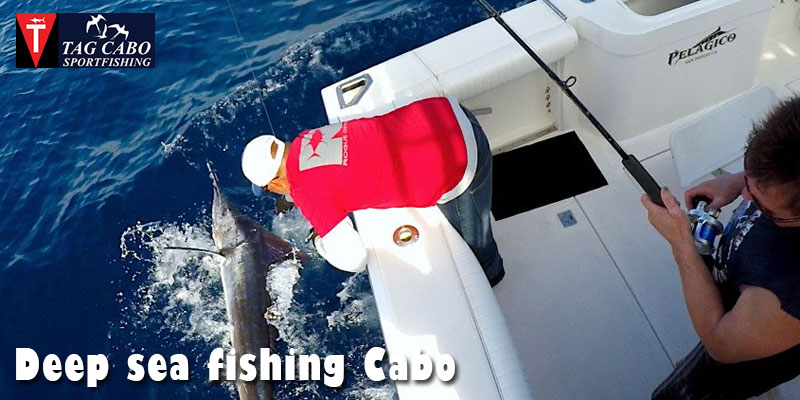 Fishing Charter in Cabo San Lucas can Make a Huge Difference to Your Experience