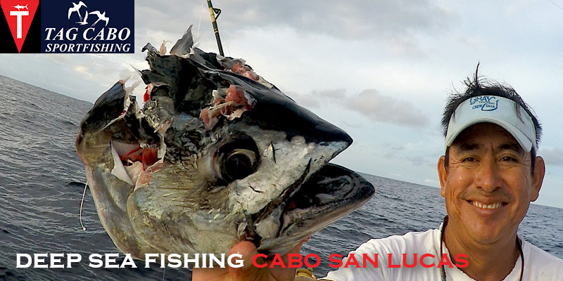What to Bring along On a Charter Fishing Trip – Tag Cabo Sportfishing