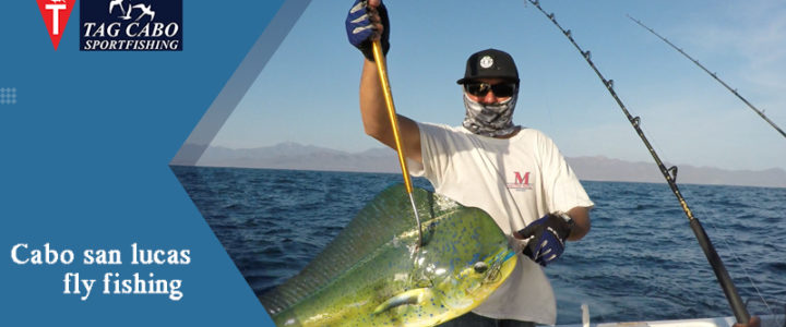 Why Fly Fishing in Cabo San Lucas Is the Best