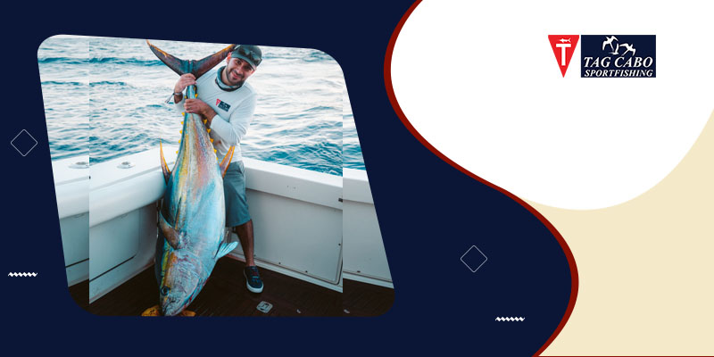 What are the Dos and Don'ts of Deep-Sea Fishing, Cabo?