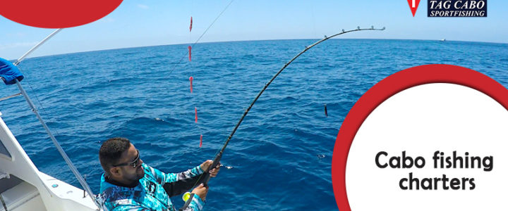 Occasions That are Perfect for Hiring A Luxury Fishing Charter in Cabo