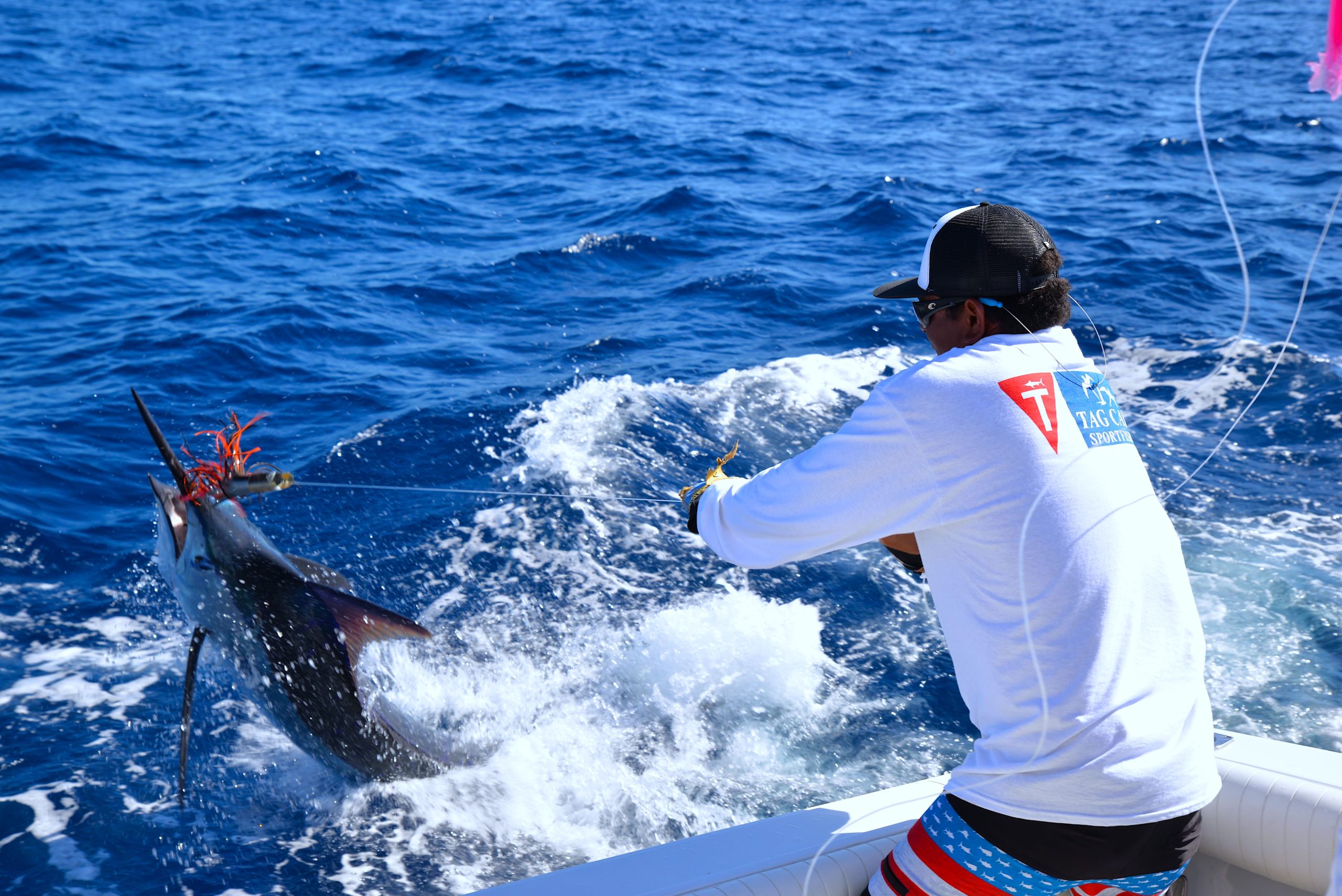 Fishing for striped marlin in Cabo San Lucas