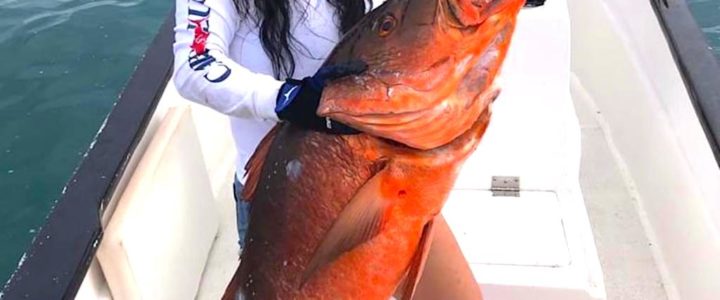 Cubera Snapper fishing in Cabo San Lucas