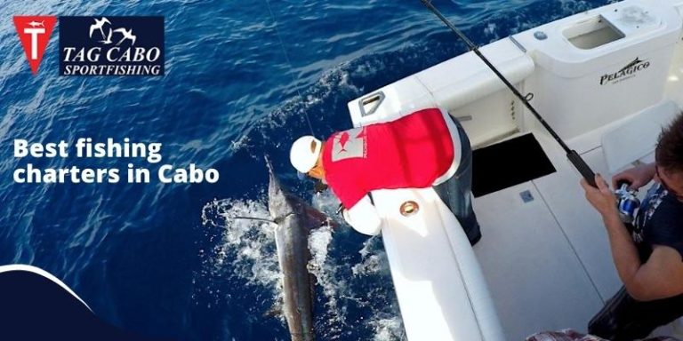 understanding-fishing-rods-basics-adventure-with-cabo-fishing-charters