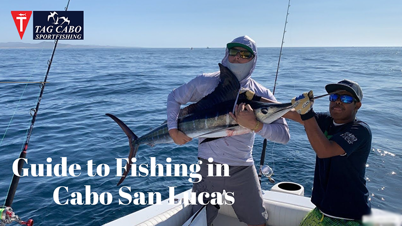 how much is a fishing license in cabo san lucas