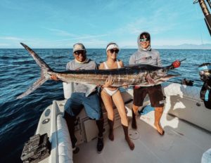 Striped marlin in cabo San Lucas