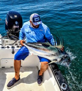 Roosterfish in Cabo San Lucas