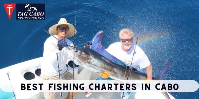 fishing-myths-you-need-to-know-about-cabo-fishing-charters