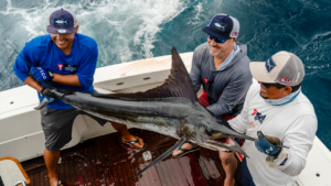 Cabo fishing guides