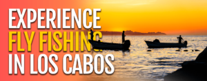 Fly fishing in Cabo San Lucas