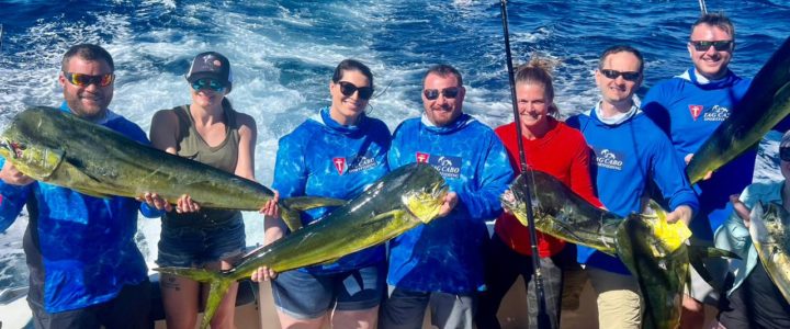 Fishing Tournaments In And Around Cabo San Lucas