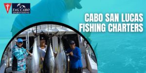 Find Out What Makes Cabo San Lucas Fishing Charters So Special