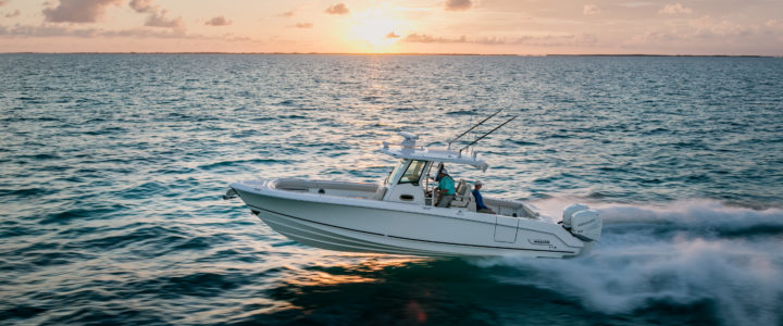 Boston Whaler Broker in Cabo San Lucas