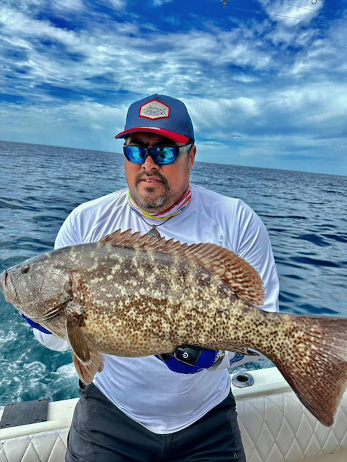 groupers and snappers in Cabo San Lucas