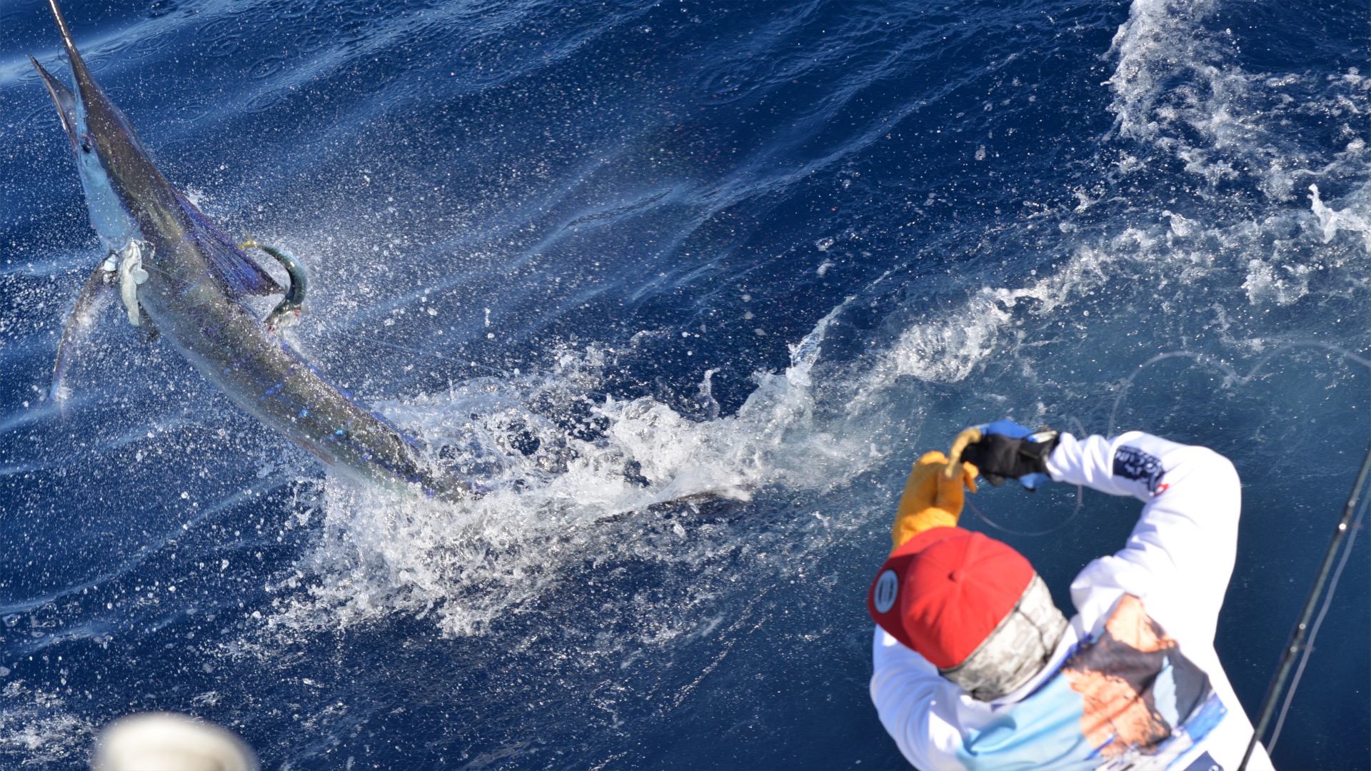 Master the Art of Striped Marlin Fishing: Lures, Teasers, and Dead