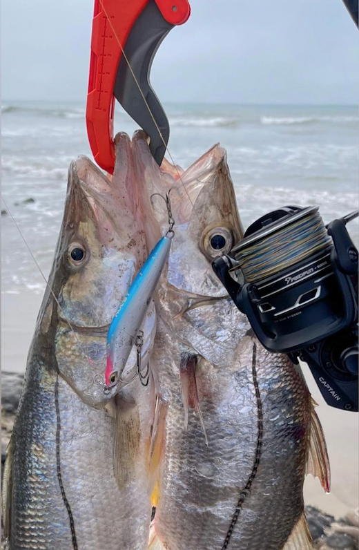 https://www.tagcabosportfishing.com/wp-content/uploads/2023/03/Screen-Shot-2023-03-25-at-11.23.11-AM.png