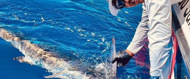 How to Spear Fish - Los Cabos Guide