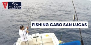 Navigating the Waters in Cabo San Lucas Fishing- Offshore vs. Inshore