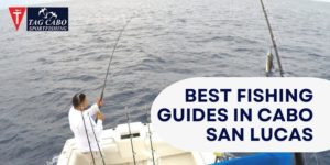 Cabo San Lucas Fishing For Couples: A Romantic Getaway For Anglers