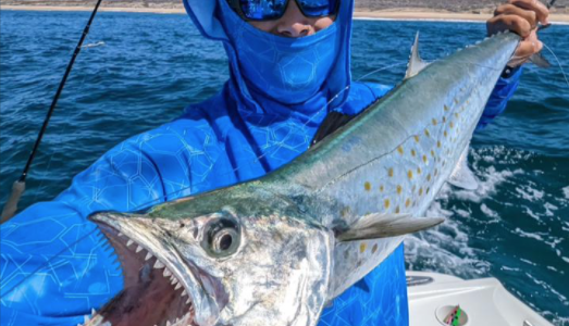 Inshore Fishing in Cabo San Lucas