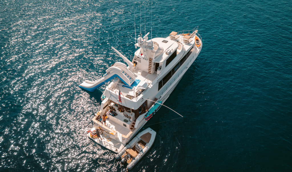 Navigating the Waters from Los Cabos to Mag Bay