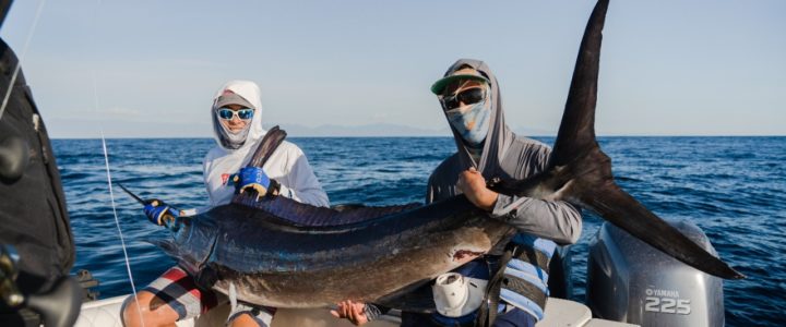 Spanish Mackerel fishing Archives - Topnotch Game Fishing