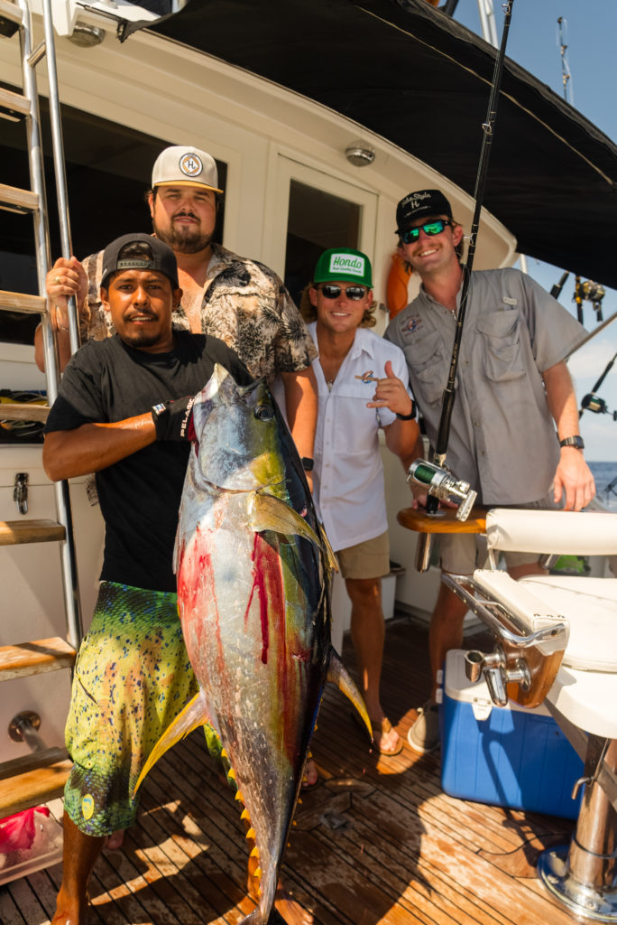 Yellowfin tunas in Cabo San Lucas