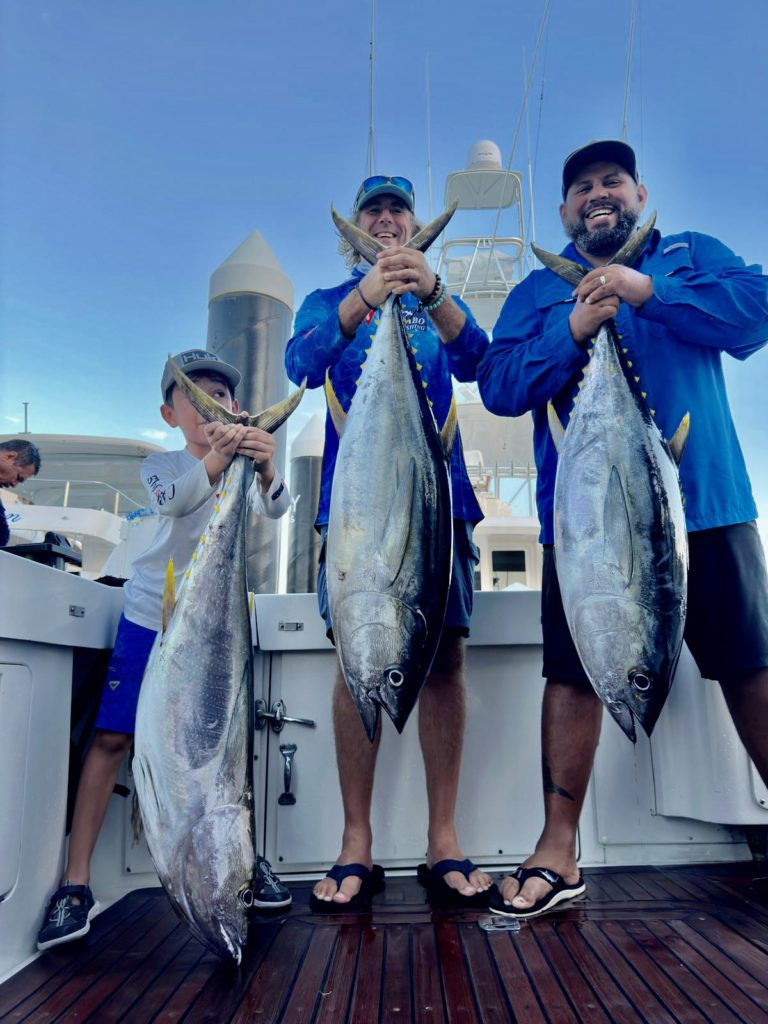 Yellowfin tunas in Cabo San Lucas