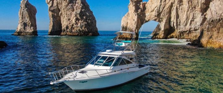 Best Time to Go Fishing in Cabo San Lucas