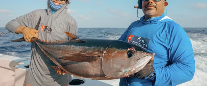 Fishing in Cabo? Everything You Should Know