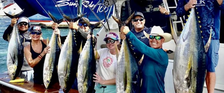 The Ultimate Guide to Deep-Sea and Offshore Fishing in Cabo San Lucas