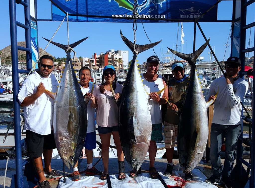 Yellowfin Tuna in Cabo