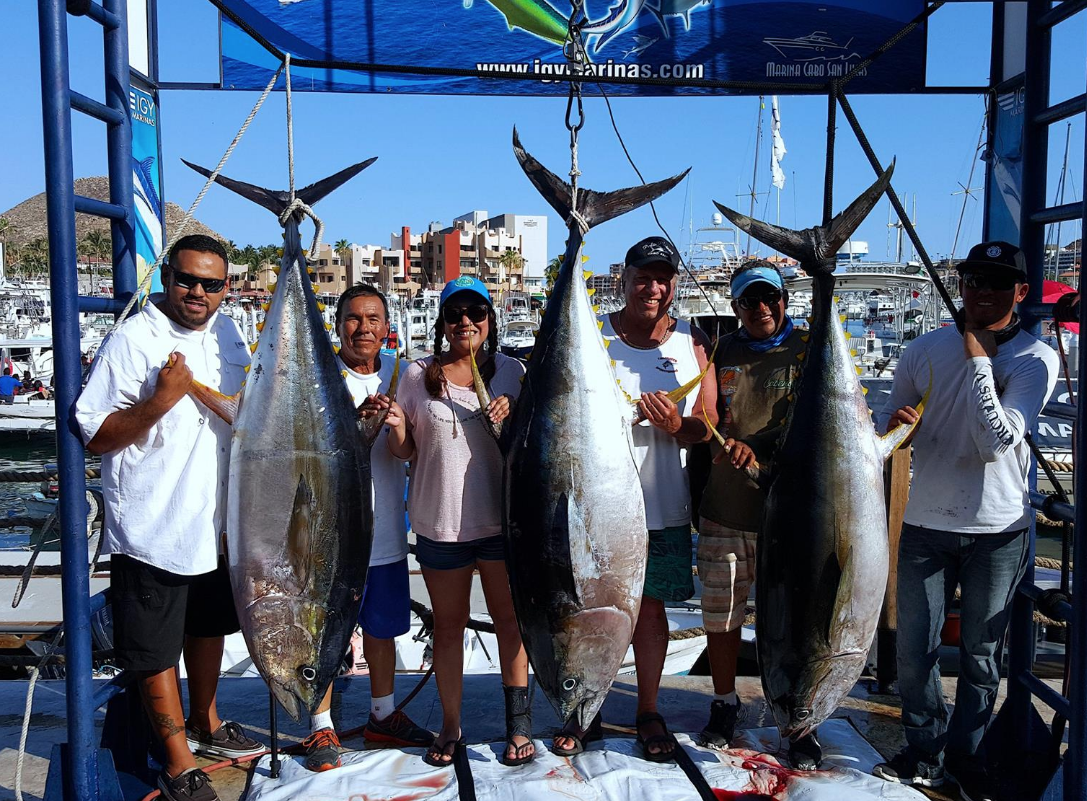Top Destinations for Yellowfin Tuna Fishing - Tag Cabo Sportfishing